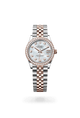 Rolex Datejust Woman Oyster, 31 mm, Oystersteel, Everose gold and diamonds (Automatic)